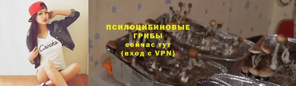 гашик Горнозаводск