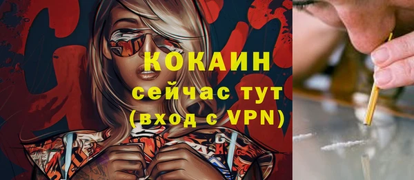 твердый Нягань