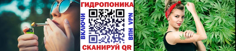 как найти наркотики Мончегорск Бошки марихуана LSD WEED